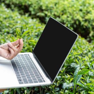 Assunzioni dipendenti agricoli(aziende)